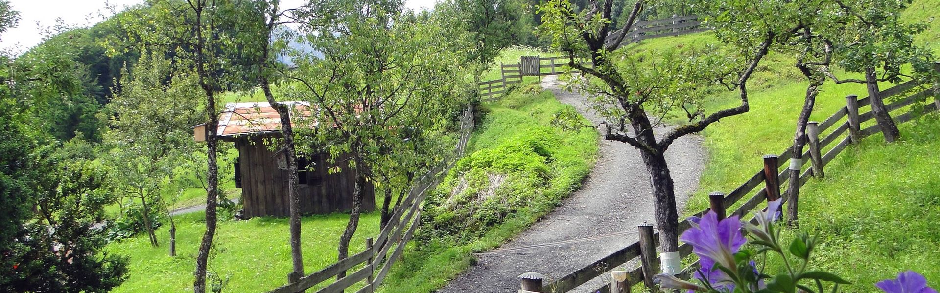 Sommer am Brennerhof