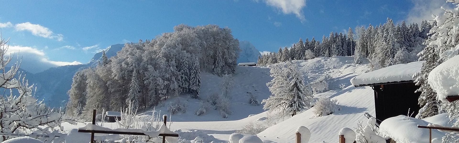 Winter am Brennerhof